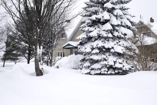 Зимняя сцена с домом — стоковое фото