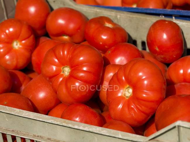 Tomates vermelhos em caixa — Fotografia de Stock