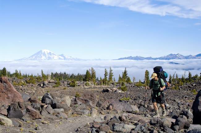 Mount Adams Wilderness, Washington State, Stati Uniti; Escursionista che cammina attraverso il campo di Avalanche Valley — Foto stock