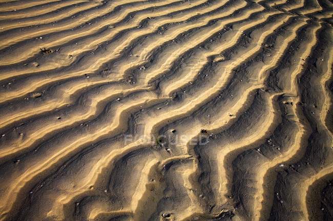 Zanzibar, Tanzânia; Padrões de areia — Fotografia de Stock
