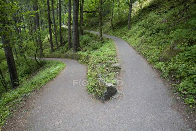 Trail Divides down — Stock Photo
