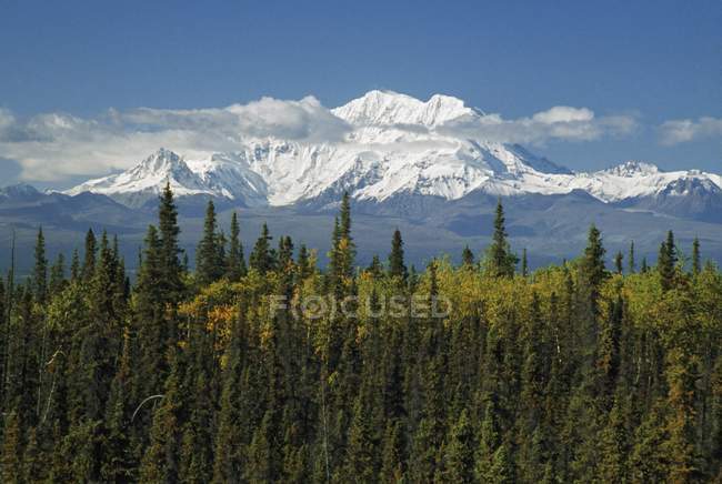 Wrangell Berge, alaska — Stockfoto