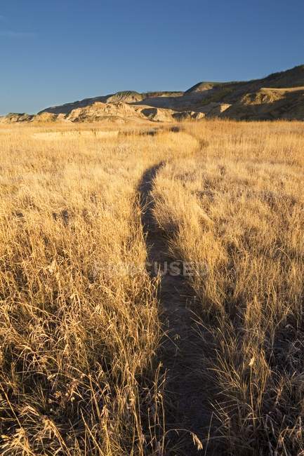 Kurvenreicher Badlands-Trail durch getrocknete Gräser — Stockfoto