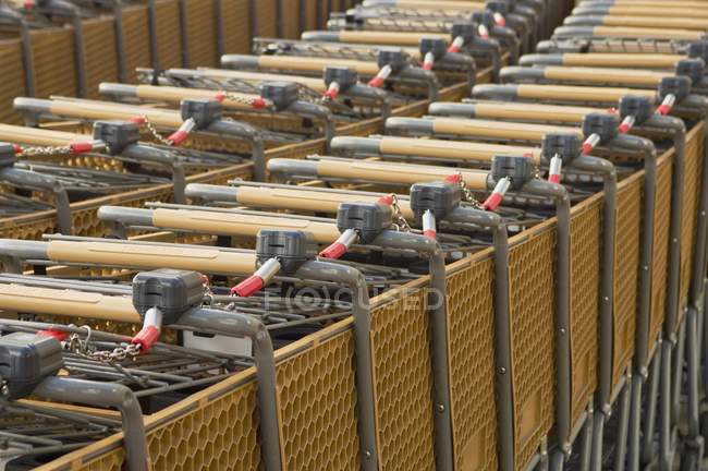 Множество торговых тележек, выставленных рядами на парковке — стоковое фото