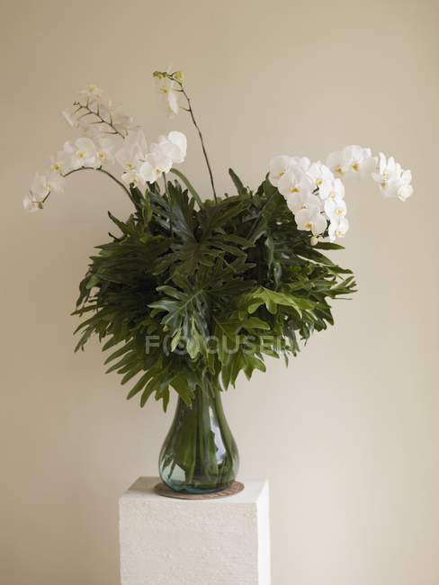 Vaso con verde e fiori — Foto stock