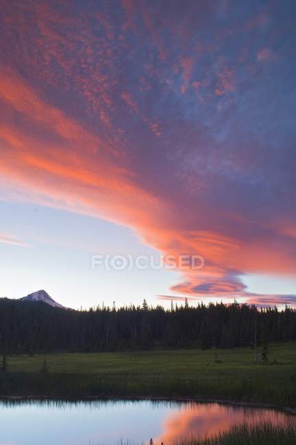 Bosque Nacional Mount Hood - foto de stock