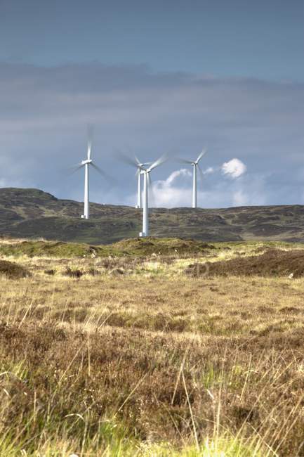Windpark wotking auf Feld — Stockfoto