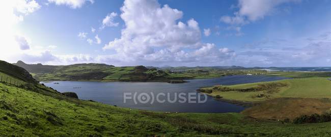 View of green grass field — Stock Photo