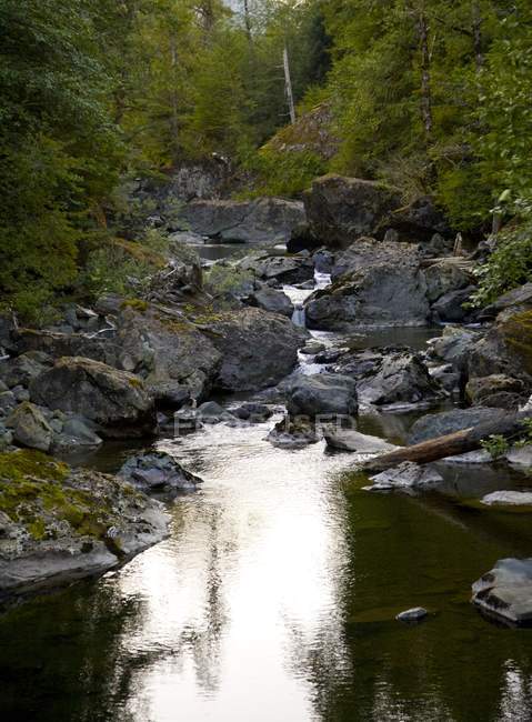 Elk Falls, Colúmbia Britânica — Fotografia de Stock
