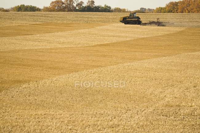 Campo de arado del tractor después de la cosecha - foto de stock