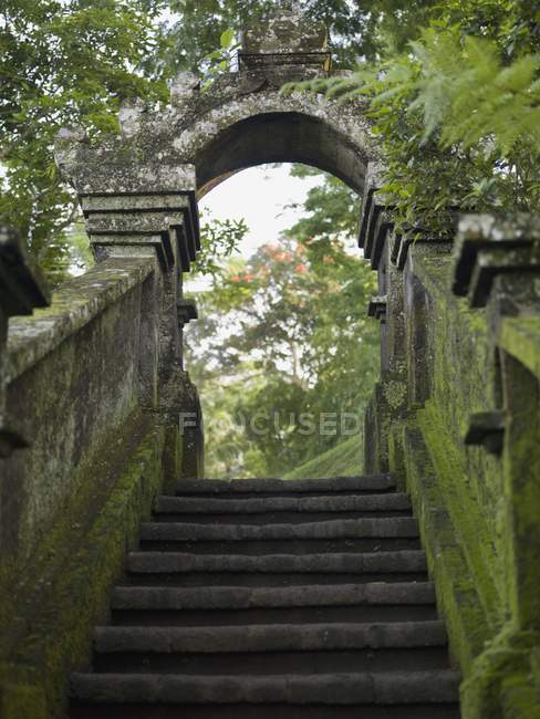 Escadas exteriores forradas de musgo — Fotografia de Stock