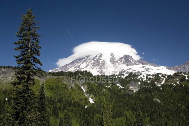 Monte Rainier, Parco Nazionale del Monte Rainier — Foto stock