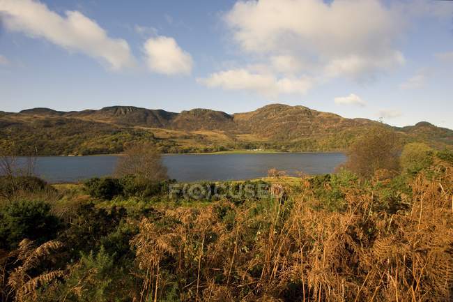 View of hillside and lake — Stock Photo