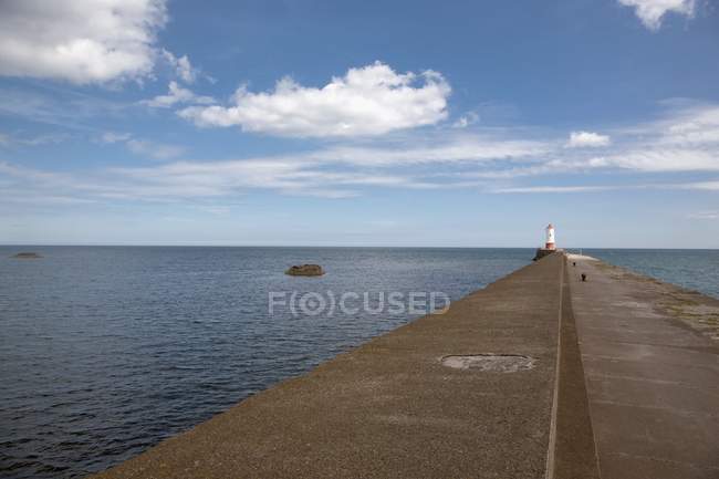 Coast, Berwick, Northumberland, Inglaterra - foto de stock