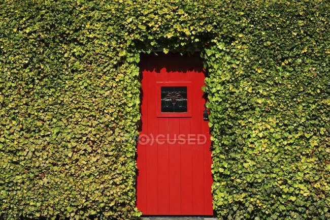 Traditional Irish Door — Stock Photo