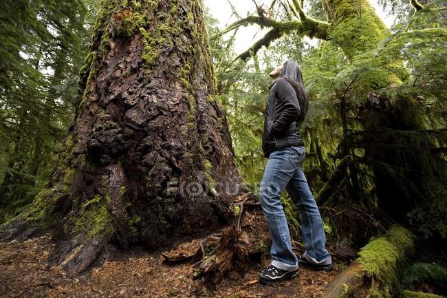 Jovem mulher adulta posando na antiga floresta verde — Fotografia de Stock