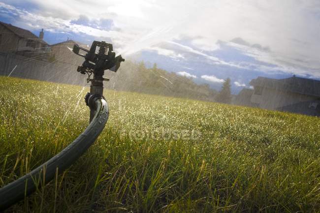 Дождеватель поливает лужайку днем — стоковое фото