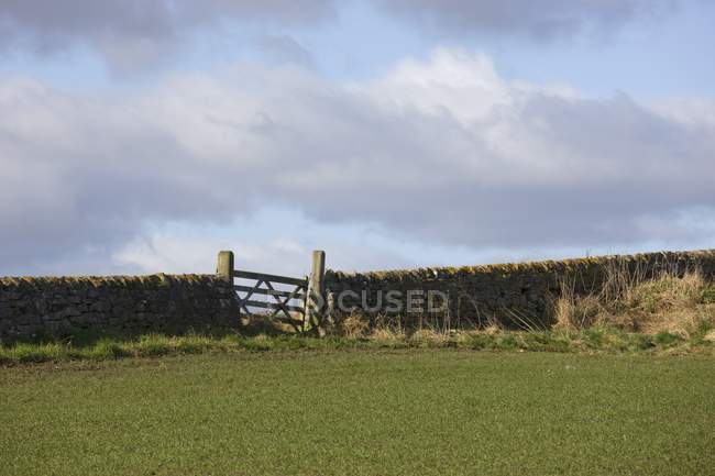 Каменный забор на зеленом травяном поле — стоковое фото