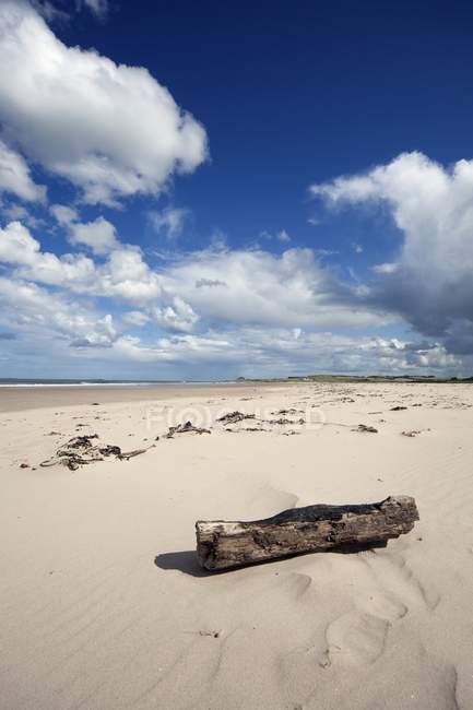 Strand, Sand im Rücken — Stockfoto