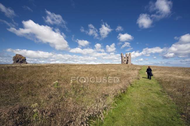 Campo con il castello di Dunstanburgh — Foto stock