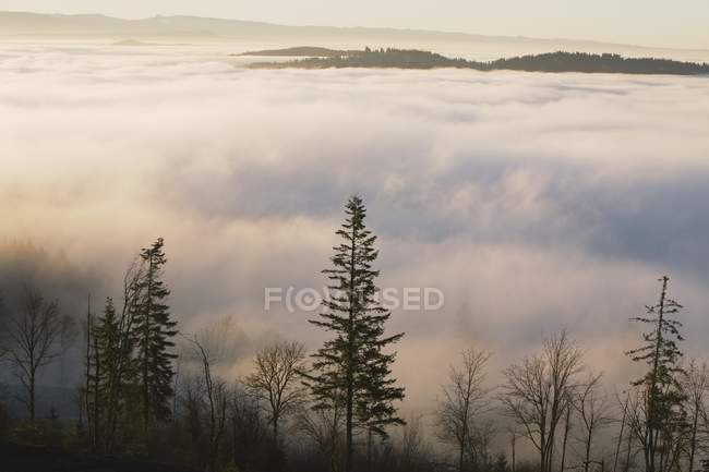 Blick auf Wolken im Tal — Stockfoto
