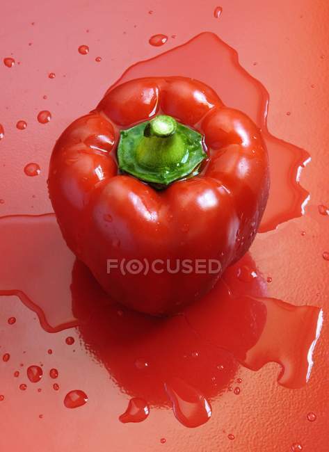Pimienta roja en la superficie roja - foto de stock