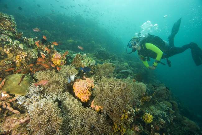 Scenic view of female scuba diver swimming under water — Stock Photo