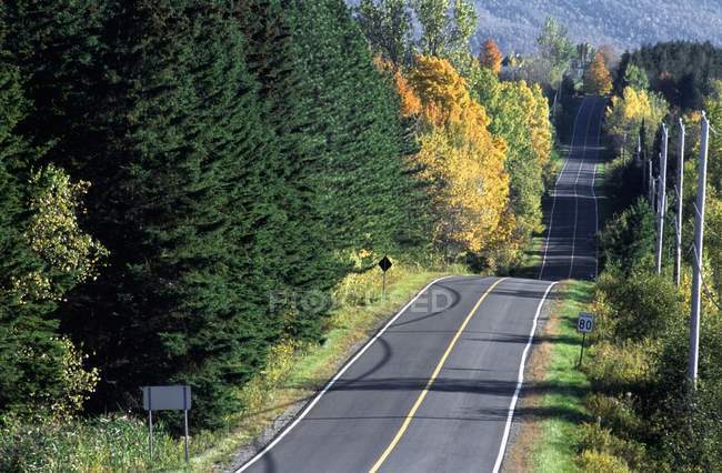 Hügelige Straße, Kanada — Stockfoto