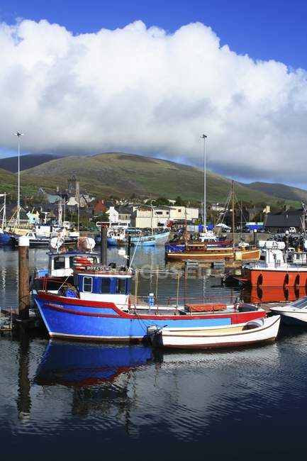 Dingle Town, Co Kerry — Foto stock