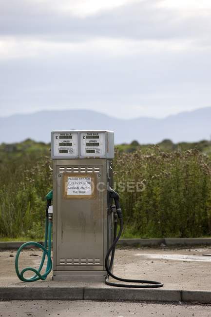 Pompe à essence avec des plantes — Photo de stock