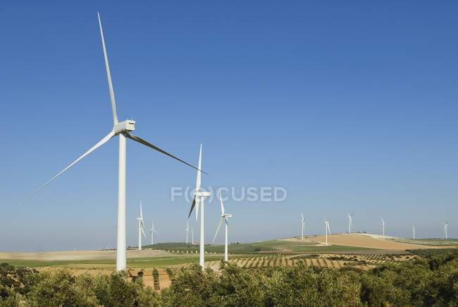 Вітрові турбіни на фоні блакитного неба — стокове фото