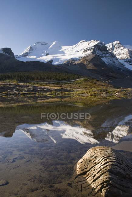 Mont Athabasca, champ de glace de Columbia — Photo de stock