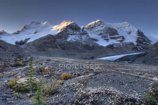 Parco nazionale di Jasper, canada — Foto stock