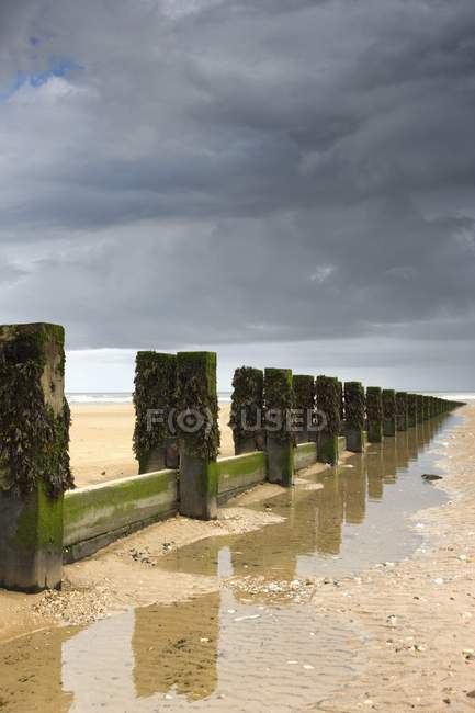 Posts sobre a praia, a leste, montando Yorkshire — Fotografia de Stock