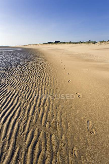 Empreintes de pas à marée basse sur la plage — Photo de stock
