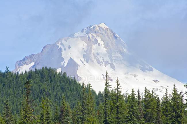 Mount Hood Foresta Nazionale — Foto stock