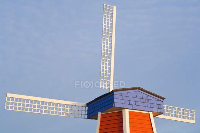 Windmühle, hölzerne Tulpenfarm — Stockfoto