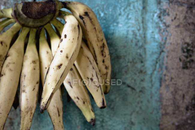 Closeup bruised bunch of bananas, copy space — Stock Photo