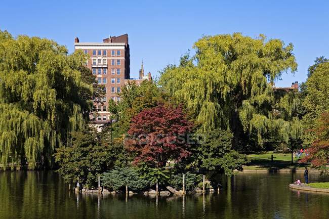 Бостонский общественный сад — стоковое фото