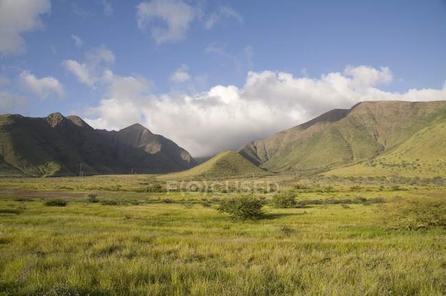 Paysage hawaïen avec collines — Photo de stock