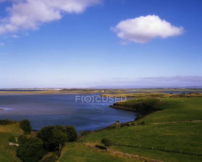 View of coast with green grass — Stock Photo