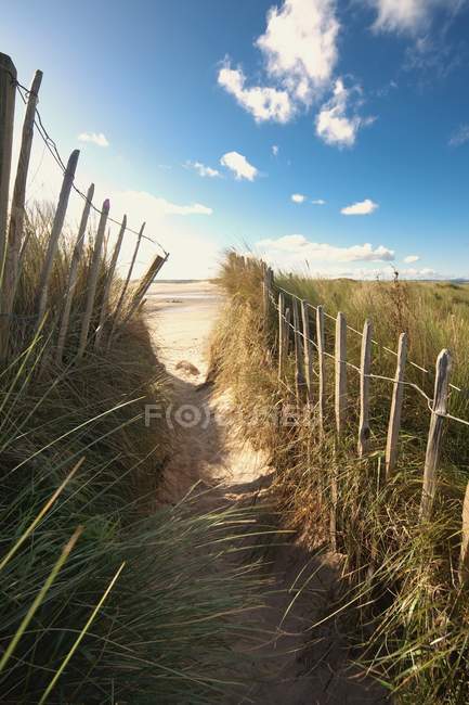 Chemin de la plage, Beadnell — Photo de stock