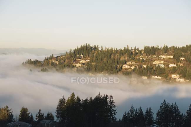 Foggy Valley e montagne — Foto stock
