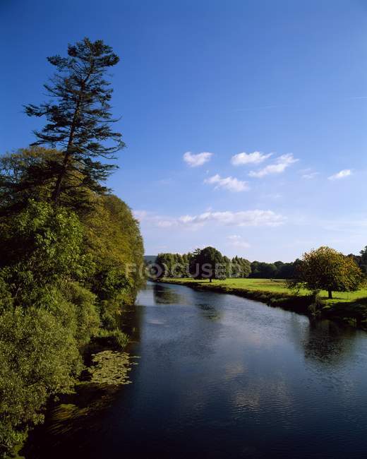 River Suir Nr, Irlanda - foto de stock