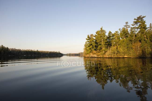 Озеро лісу — стокове фото