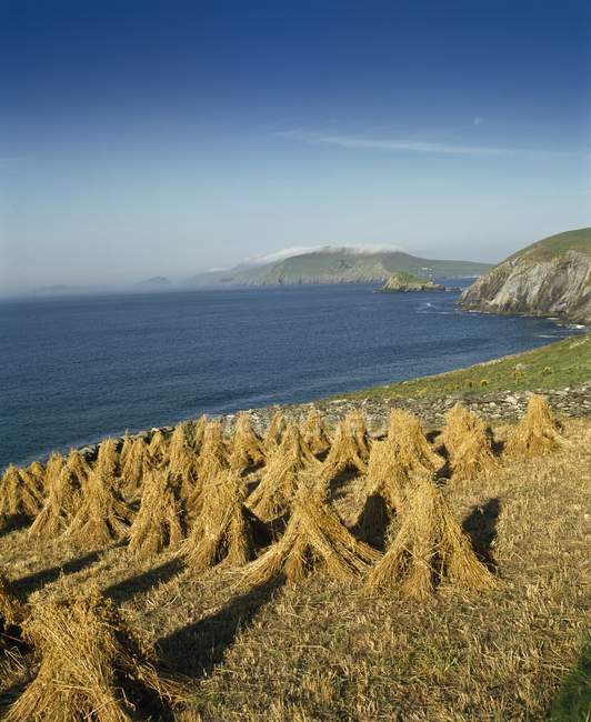 Slea Head; Co Kerry, Ирландия — стоковое фото