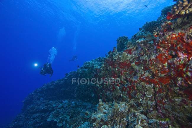 Plongeur sous-marin avec une caméra vidéo — Photo de stock