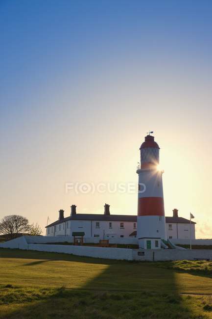 Lighthouse on green grass — Stock Photo