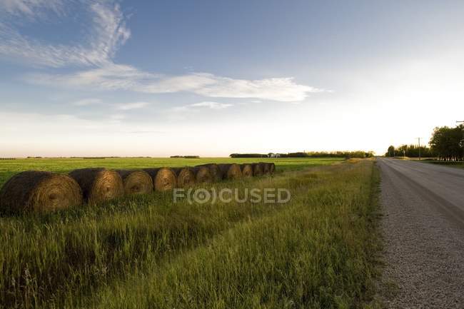 Hay Bales Along A Road — Stock Photo