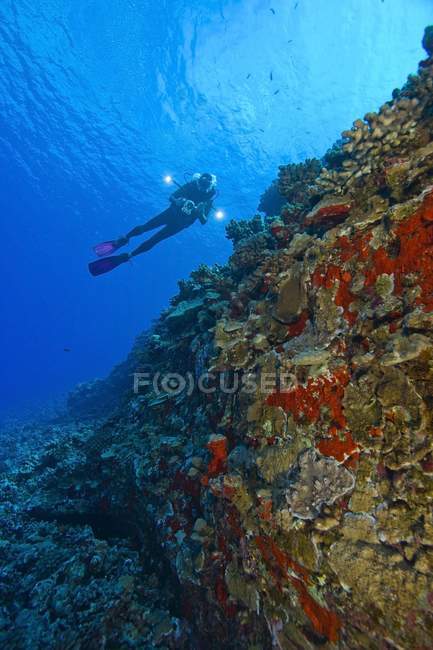 Живописный вид аквалангиста, плавающего под водой — стоковое фото